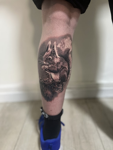 Mollet réalisme — écureuil